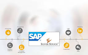 Silver Touch technologies