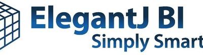 Elegant BI
