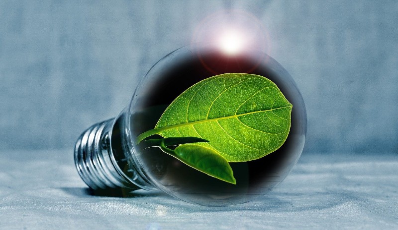 Bosch Global Software Technologies plants 25,000 saplings to celebrate its silver jubilee in India