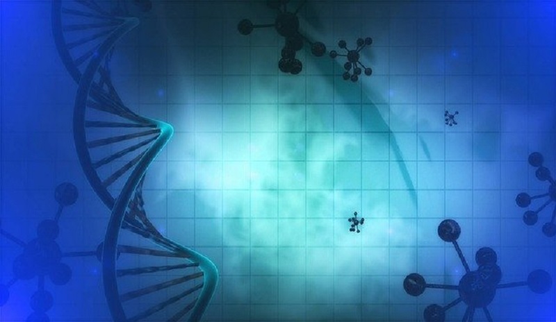 Industry veterans invest INR 125 million in the homegrown medtech company AGATSA