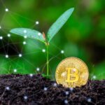 blockchain for farmers seeds distribution