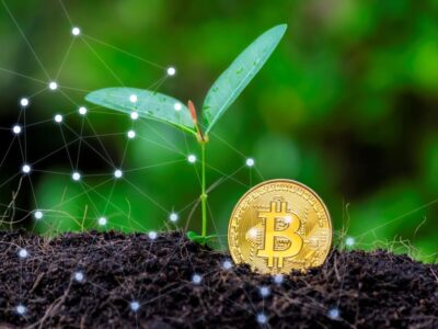 blockchain for farmers seeds distribution