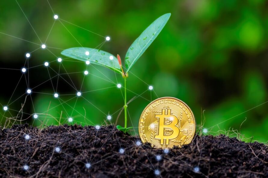 Jharkhand Becomes First State in the Country to Distribute Seed to Farmers via Blockchain Tech