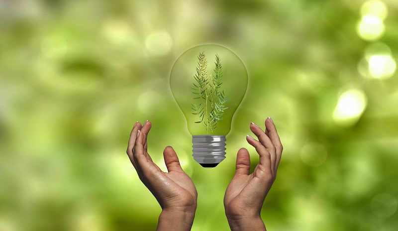 IIIT Hyderabad signs MoU with Plaksha University to setup joint center for sustainability