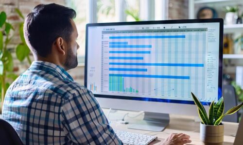 What Does a Tally Developer Do? Services, Benefits, and Business Use Cases?